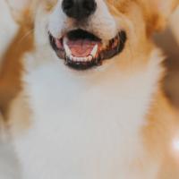 炕上疯狂的肥岳全文阅读 坐在公车最后一排被强