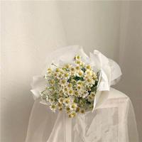 关于元宵的诗句古诗