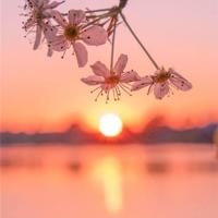 心情压抑的说说带图片,送给伤感颓废的你