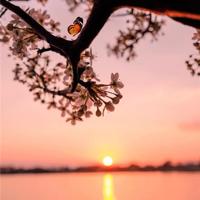 心情烦躁睡不着的朋友圈说说