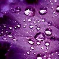 最新2021看淡一切超拽霸气励志说说