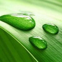 情话最暖心短句给女生空间留言