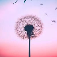 伤感的英文句子 简短伤感的英文短句