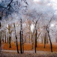 翘着光屁股趴在办公室 我都说疼了他还在继续