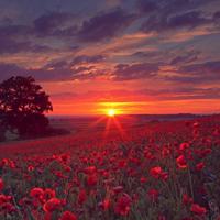 奶头被嘬的又大又硬H，（站着被口是一种什么样的体验）