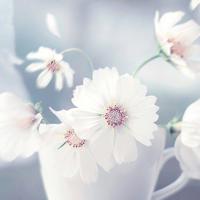 把腰抬起来一点我不好发动 白洁一夜被爽了七次