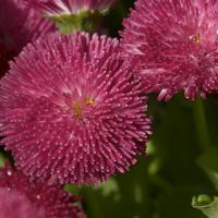 脱了女学生内裤直接进了 往下边塞东西逛街是什么感觉