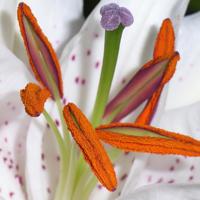 qq昵称古风女生唯美