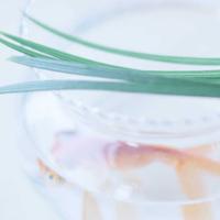 中篇乱人伦小说 新娘被伴郎不停的要小说