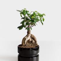 保险营销员的人生格言