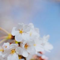 鼓励小朋友坚持不放弃的句子