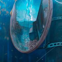 送给爱人不一样的生日祝福语