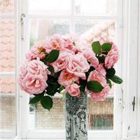 宝贝我要吃你的花玫瑰核 翁公粗大小莹第一章