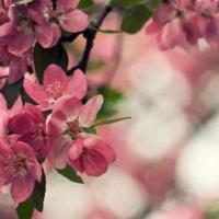 展示落在的个性说说