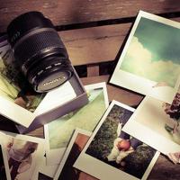 描写春花的诗句