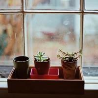 用一句话偷偷公布恋情 用一句话来公布恋情，你会用哪一句？