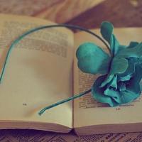 2020搞笑说说最新