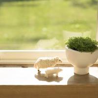 车内糟蹋成功视频,6漫画免费下拉式漫画