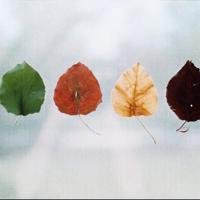 才两根手指就吃不下了 椅子上有木棒坐下去吃饭短文