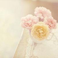 啊再快点嗯嗯嗯好好爽 岳两女共夫并一起怀孕