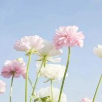 爸爸生日祝福英文唯美句子