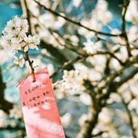 坐在公车最后一排被强 疯狂撞击丝袜人妻