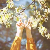 乱系列未删全文阅读全文,花间淫事