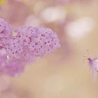 五个闺蜜的疯狂互换 乱系列全文阅读全文目录