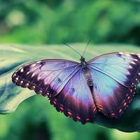 宁荣荣解开裙子坐我腿中间 今晚一直到怀孕为止