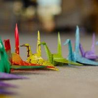 高干文 女主寄养在男主家