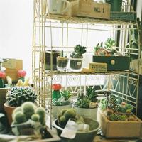 爱情的古诗句子悲伤的 关于爱情的诗句伤感