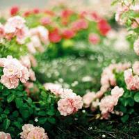 描述压抑的来了搞笑说说2021