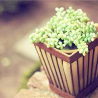 宝贝痒吗张开腿我再深 揉她的大白胸把她摸湿