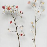 让他看着我是怎么C你的视频：入室强奷贞洁少妇