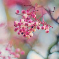 被C到起不来 被拉到野外强要好爽漫画