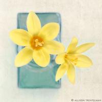 艳妇乳肉豪妇荡乳全文阅读 往下边塞水果后吸出来