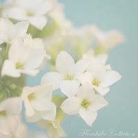 鼓励人不要放弃经典语录