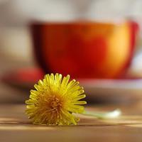 又肉又污的黄文 宝贝这么湿想要吗