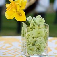 自己过生日怎么发朋友圈 独特创意暗示生日的简短生日说说