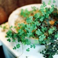 局长揉搓少妇人妻 乡村婬妇全文