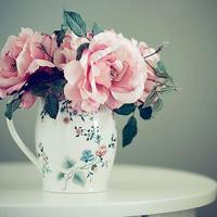 把人生看透的句子