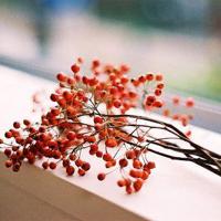 男神的j插曲女生的样子 人妻娇羞跪趴撅起大屁股