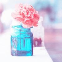 高级情话大全表白专用