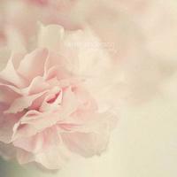 半夜失眠的幽默句子，半夜一句话