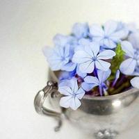 免费任你躁国语自产在线播放、李燕刘国栋羞答答的那些事