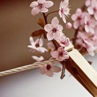 抖音最新逗比说说