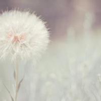 2020抖音说说短语霸气