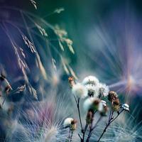 人生感悟语录说说大全 最经典的人生感悟语录