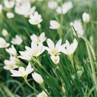 他分手后在朋友圈发伤感句子