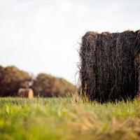 伸进老师的丝袜短裙里的揉捏 一个人站在两个日中间